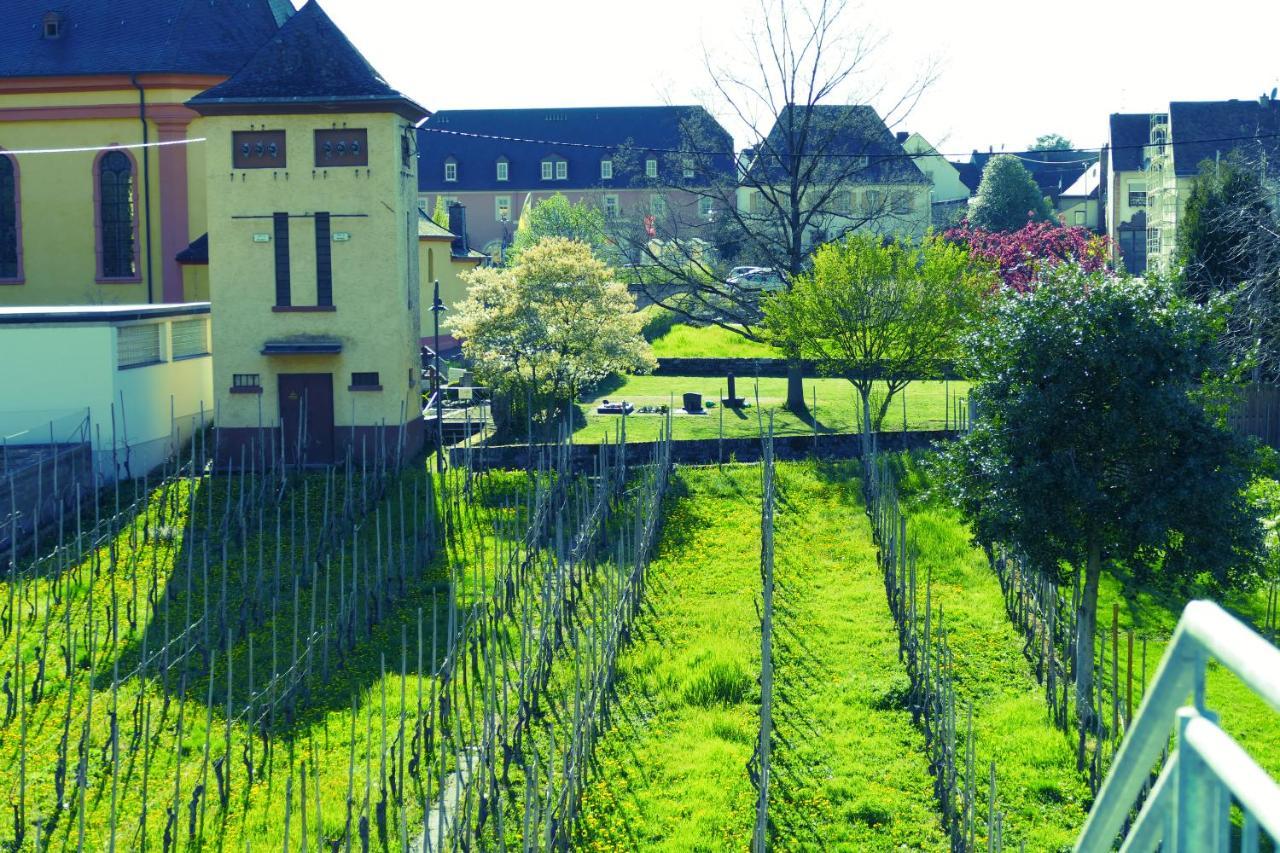 Luiza Fewo Trittenheim Exteriér fotografie